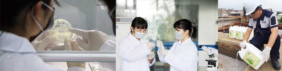 總氮菌-3天見效，15天達(dá)標(biāo)